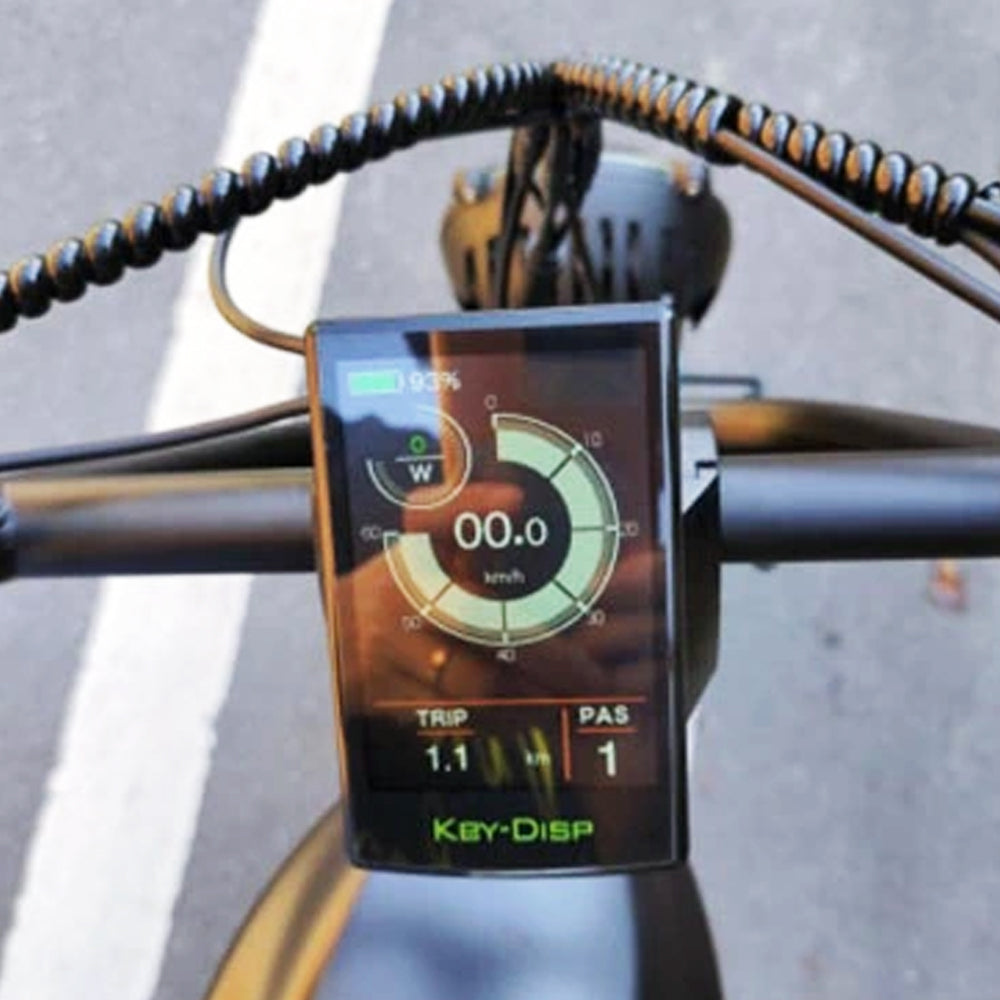 KD718 Electric Bike LCD Display Color Screen Control Panel Ebike Conversion Kit