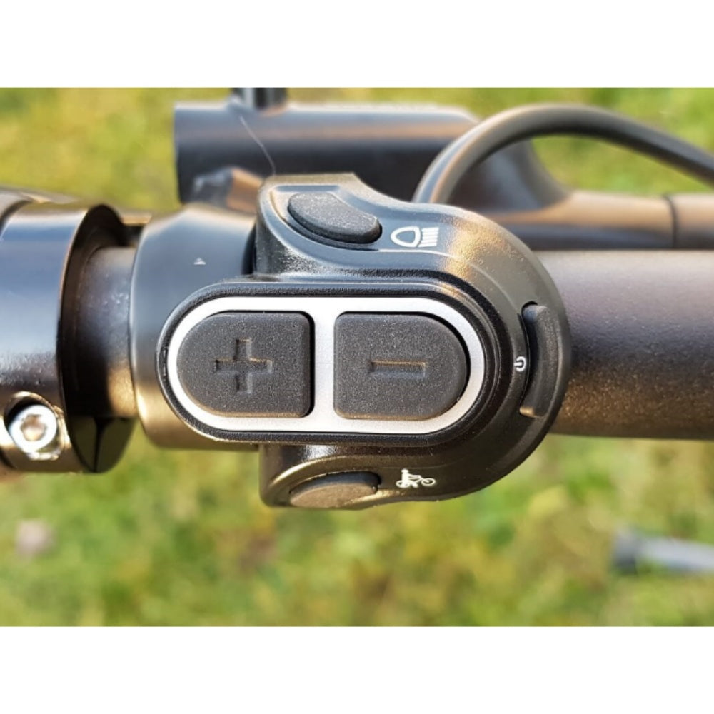 Nulkomma Ananda D10 LCD Display Meter 36V