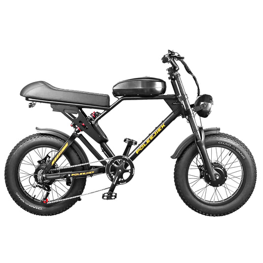 NULKOMMA 20'' Electric Bike for Adults Removable Battery 25.6Ah Commuting Mountain Bike with LCD Display Meter Retro Dual Motors Ebike 3000W with Waterproof Headlight