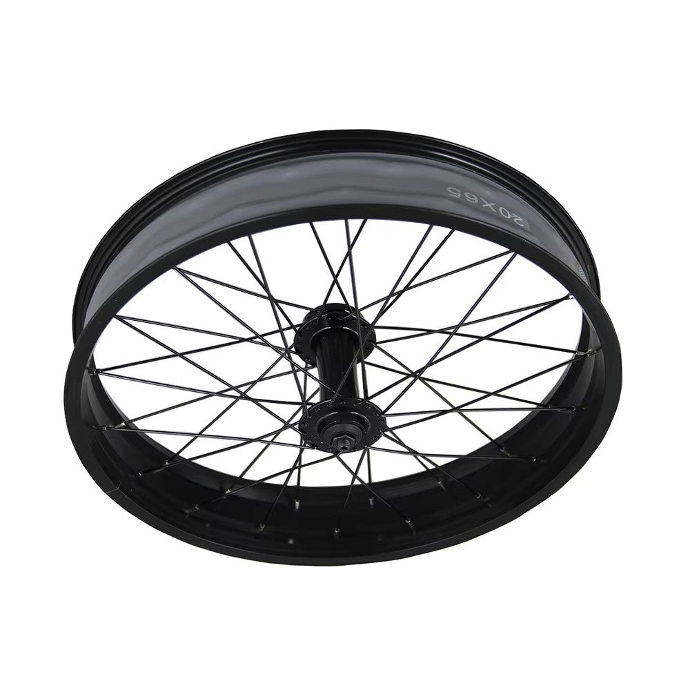Nulkomma EBike Front Wheel Bicycle Conversion Parts 20* 4.0 Hub Snow Beach Bike Electric Bike Parts