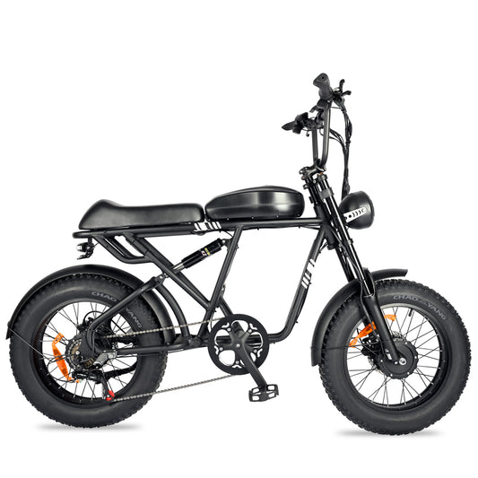 NULKOMMA 20'' Electric Bike for Adults 40-50KM Removable Battery 48V Commuting Mountain Bike with LCD Display Meter Electric Bicycle 2000W with Waterproof Headlight